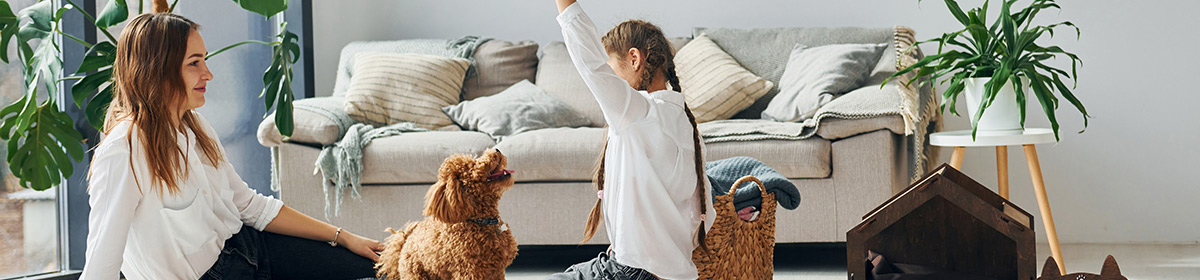 Pet traz sensação de felicidade