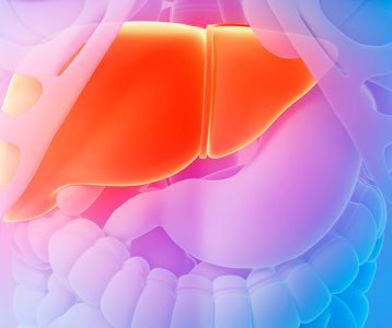 Enzima contribui para microbiota saudável